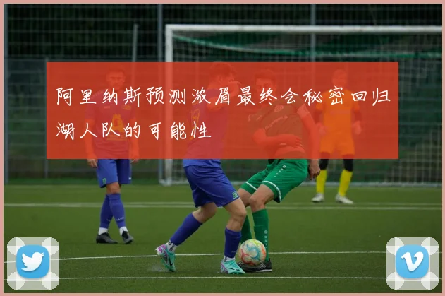 阿里纳斯预测浓眉最终会秘密回归湖人队的可能性