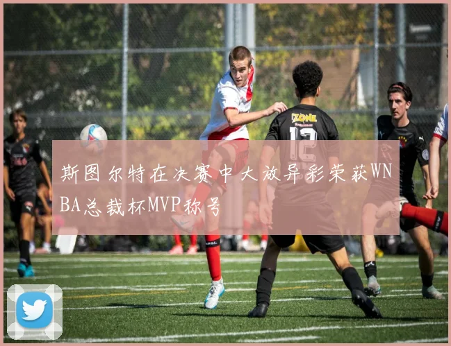 斯图尔特在决赛中大放异彩荣获WNBA总裁杯MVP称号